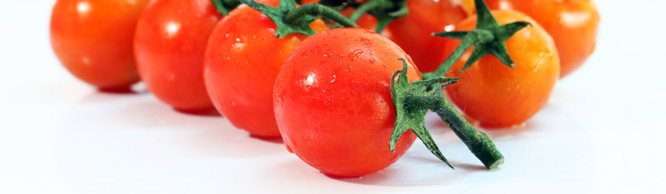 攻击网站的方法