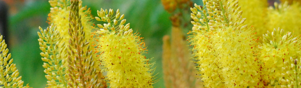 免费cc攻击测试